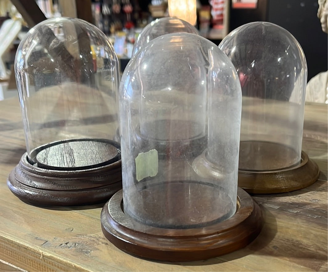 Small glass domes
