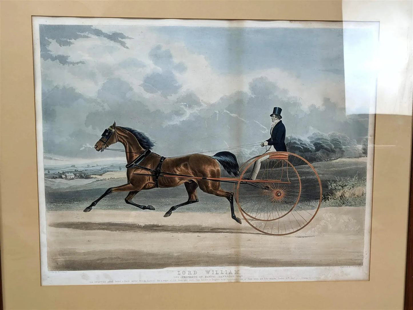 Vintage Horse Print "Lord William, The Property of Samuel Lawrence."