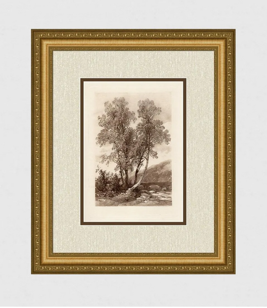 James Harding Study of Ash Trees 1883 engraving
