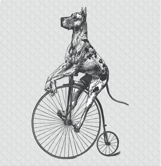Great Dane Dog on Antique Bike Big Wheel Crown Swedish Dish Cloths