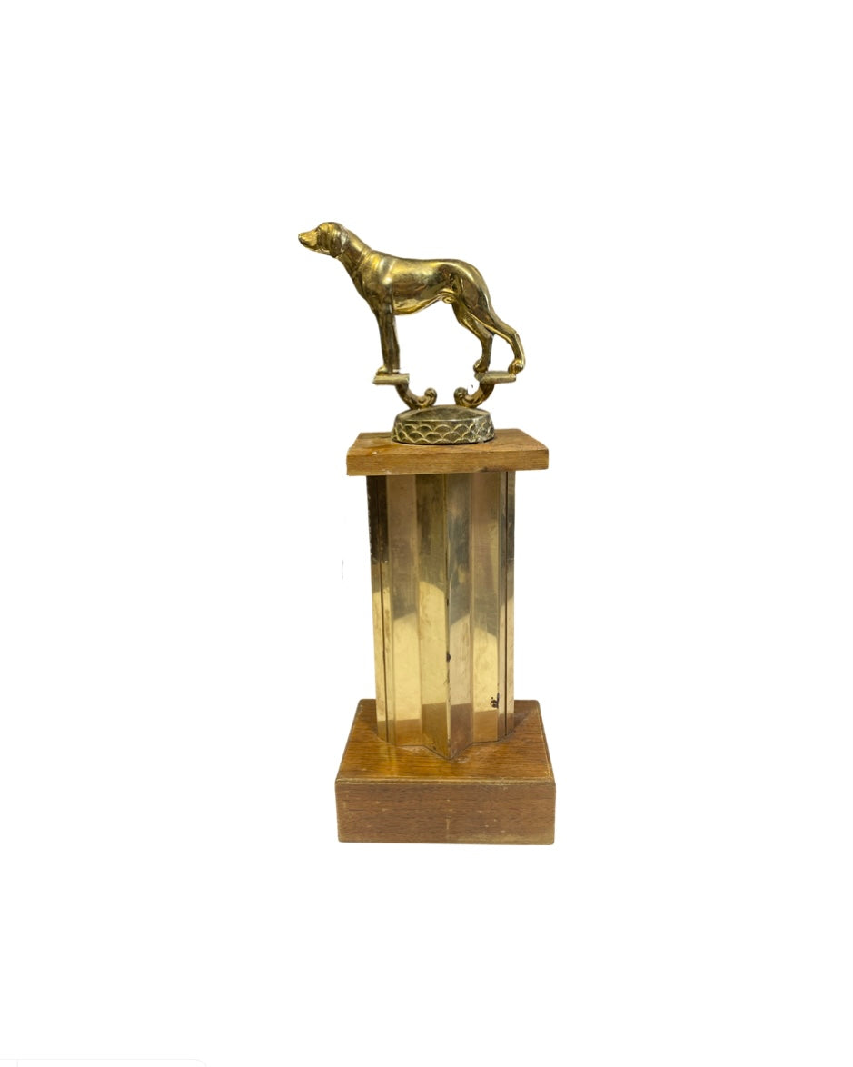 1959 Dog Award