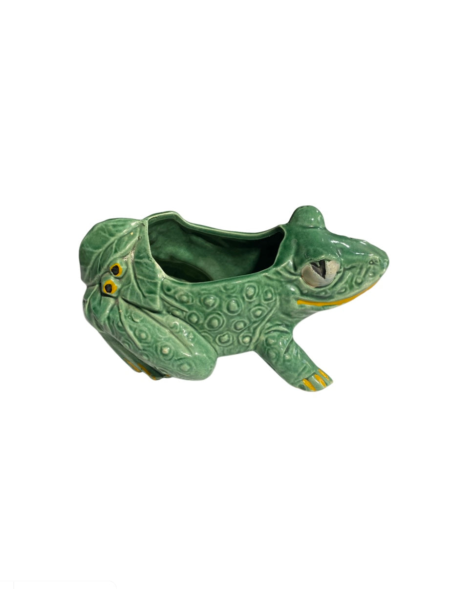 McCoy Frog