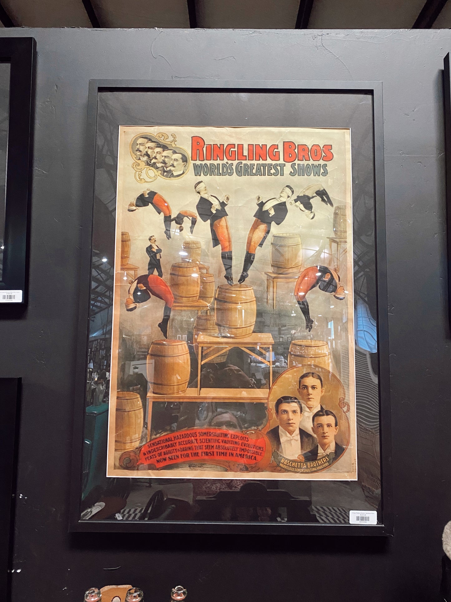 Vintage Ringling Brothers, Raschetta Poster